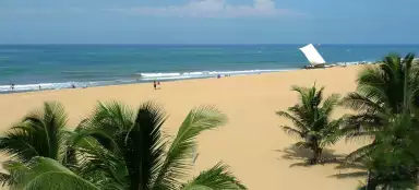 Plaża Negombo