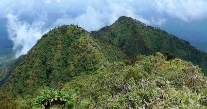 Ascent to volcano Sabyinyo