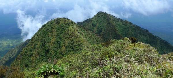 Ascent to volcano Sabyinyo: Accommodations