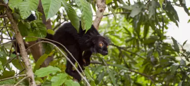 Madagaskar