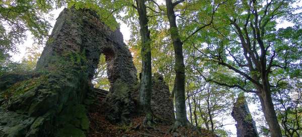 Ruins of Bradlec castle
