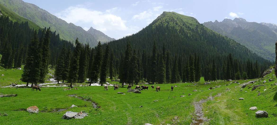 Wandeling onder de berg Karakol: Toerisme