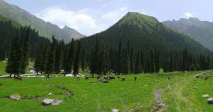 Randonnée sous le mont Karakol