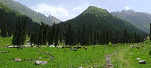 Wanderung unter dem Berg Karakol