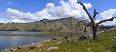 Sequoie 아래의 Lake Kaweah에서 운전