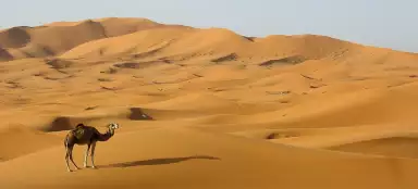 Výlet na Erg Chebbi