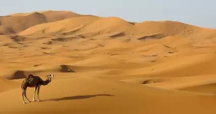 Voyage à Erg Chebbi