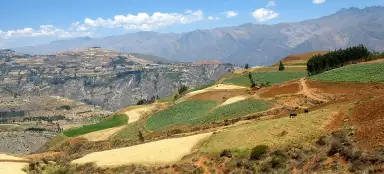 Escursione a Cashapampa - Hualcayan