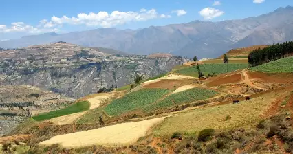 Wandeling Cashapampa - Hualcayan