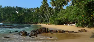 Plaża Mirissa