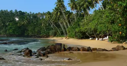 Mirissa beach