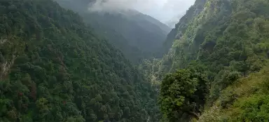 Tour Ghorapani - Tadapani - Ghandruk