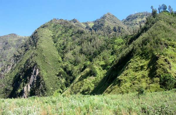 Green walls of the caldera