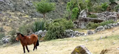 Túra šamani Pampa - Challapampa