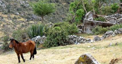 Wandeling Samana Pampa - Challapampa