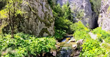 Choč Hills