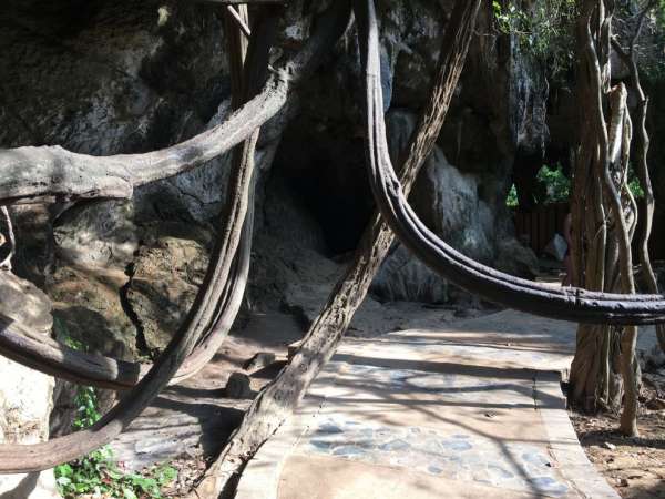 Trail to the beach