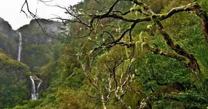 徒步穿越 levada 25 Fontes