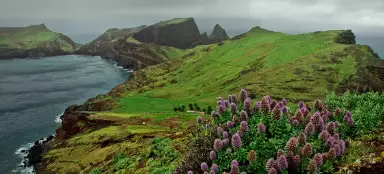 Túra poloostrovem Sao Lourenco