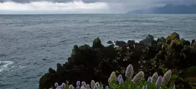 Prohlídka divokého pobřeží Madeiry