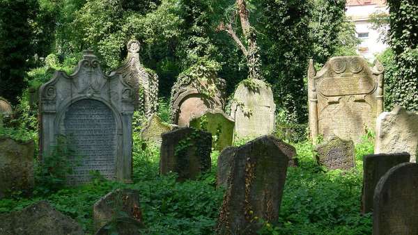 Stary cmentarz żydowski w Kolonii