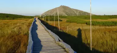 La tourbière d'Úpské