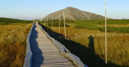 Úpské rašeliniště