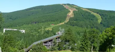 Медведин