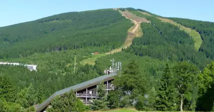 Medvědín
