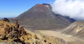 Tour del paso alpino de Tongariro