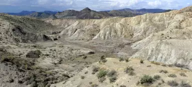 Tabernas desert