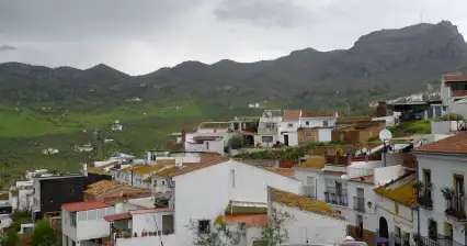 Lora