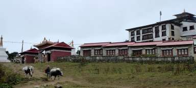 Klasztor Tengboche
