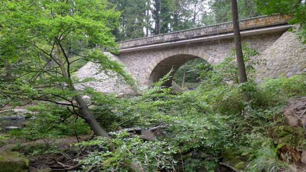 View back to the bridge