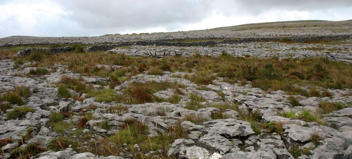Články Národní park The Burren