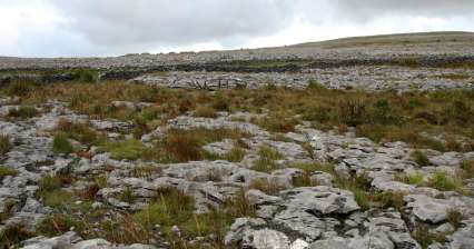 Národní park The Burren