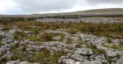 Park Narodowy Burren