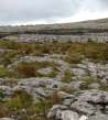 Národní park The Burren