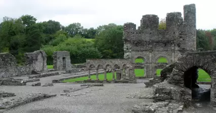Stare opactwo Mellifont