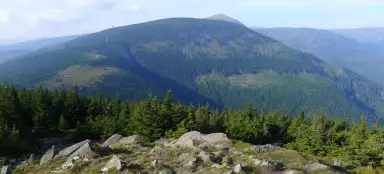 Сворова гора