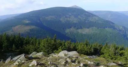 Svorová hora