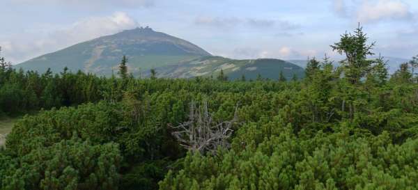 Die Aussicht von Svorová hora