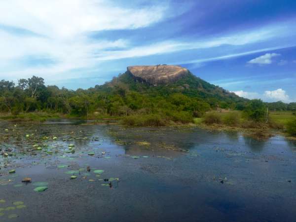 Pidurangala Rock from a distance