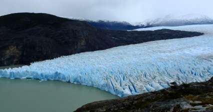 Grijze gletsjer