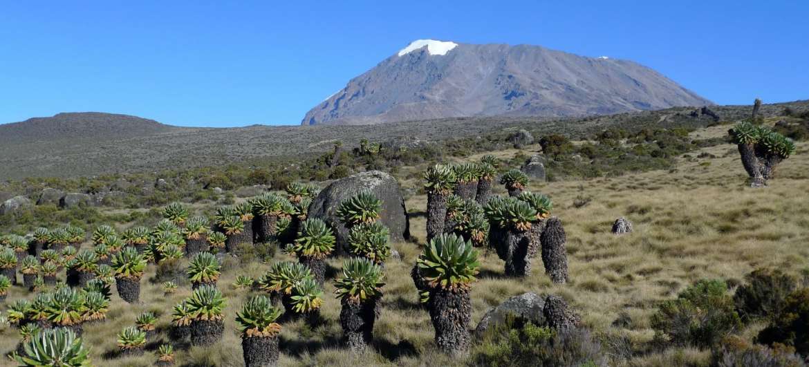 Výstup na Kilimandžáro: Turistika