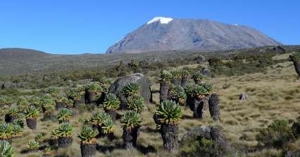 Aufstieg zum Kilimandscharo