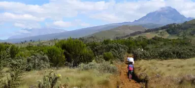 Wycieczka do schroniska Mandara - schronisko Horombo