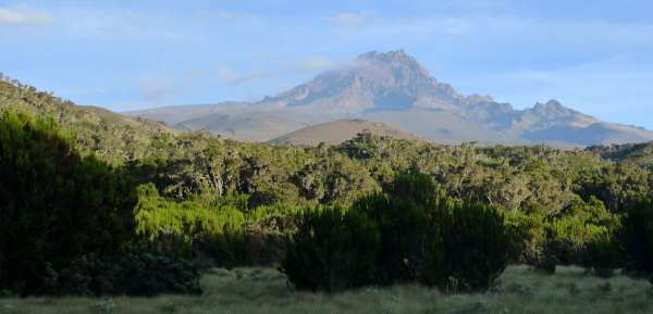 Vue sur Mawenzi