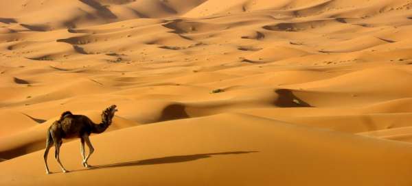 Nejkrásnější pouště světa: Počasí a sezóna