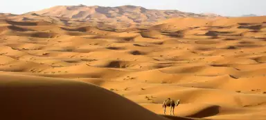Dunes of Erg Chebbi